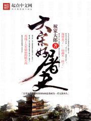 大宋好屠夫顶点