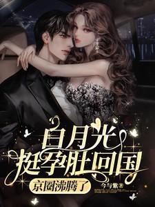 京圈沸腾了短剧免费观看