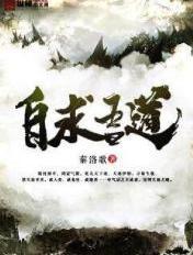 自求吾道断更了