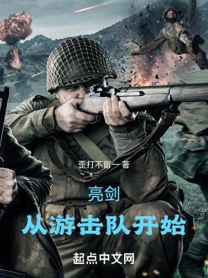 亮剑从游击队开始崛起笔趣阁