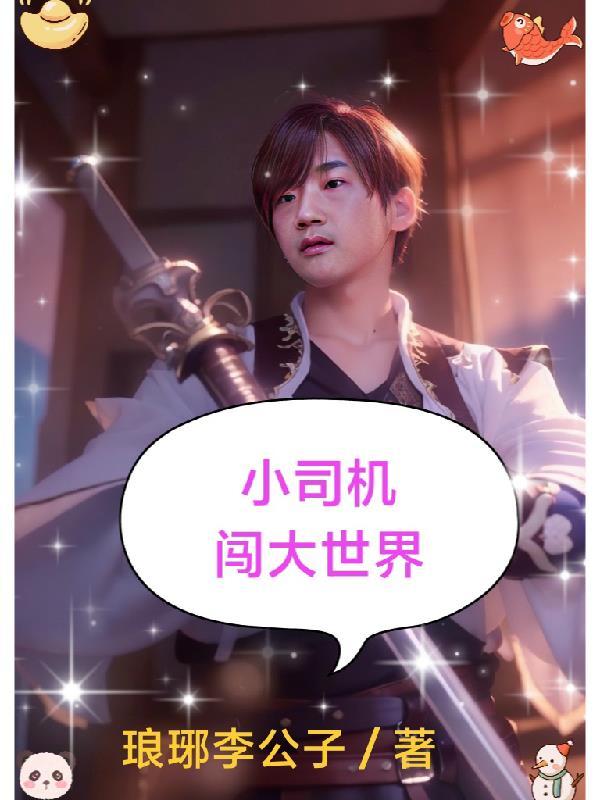 小司机出走之谜完整版