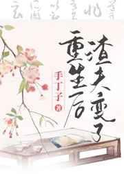 重生后渣夫变了书评