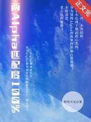 两a匹配度100谁是攻