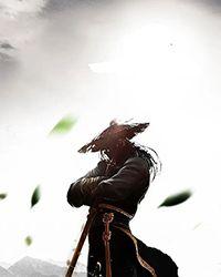 夫人你人设崩了顾安阅读