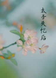 丞相夫人失忆后祝长君