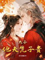 太子他夫凭子贵/银律