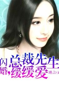 闪婚总裁先生缓缓爱免费阅读