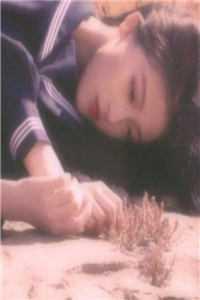 许若兮江月寒短剧