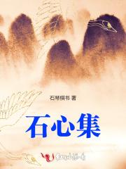 石心集团帕尔默