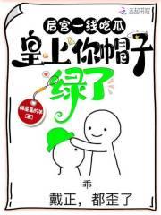 皇上你帽子绿了抓星星