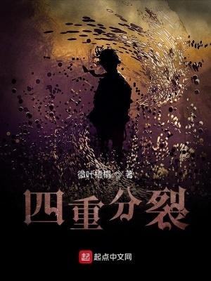 四重分裂无错版